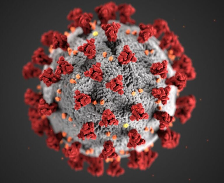 Coronavirus