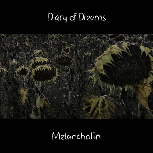 diaryofdreams_melancholin